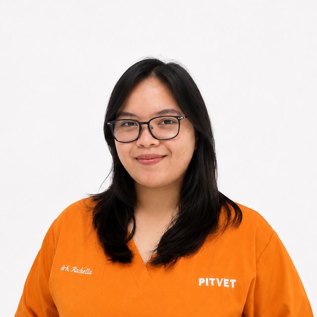 Foto dokter