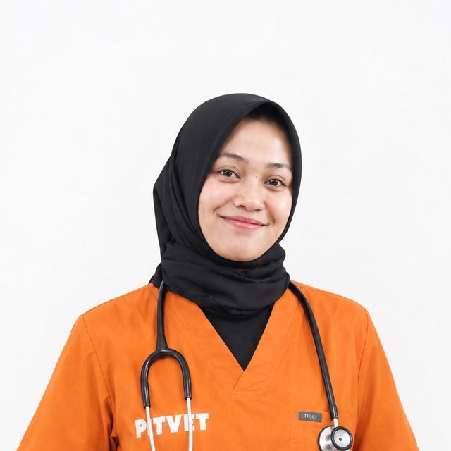Foto dokter
