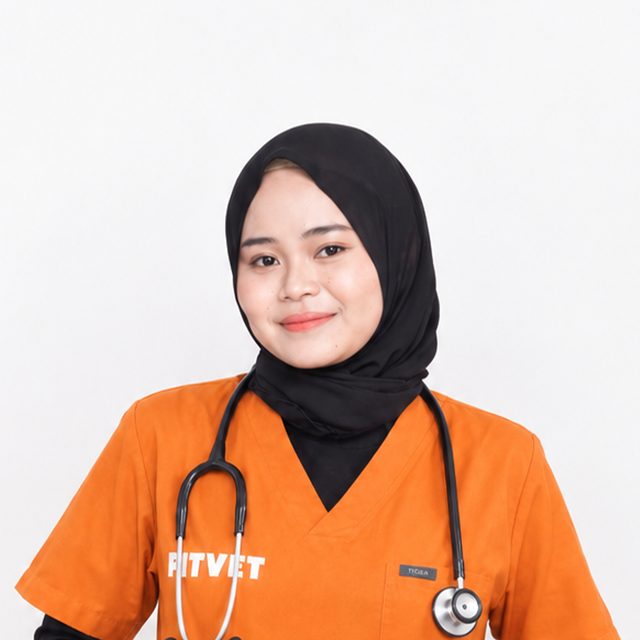Foto dokter